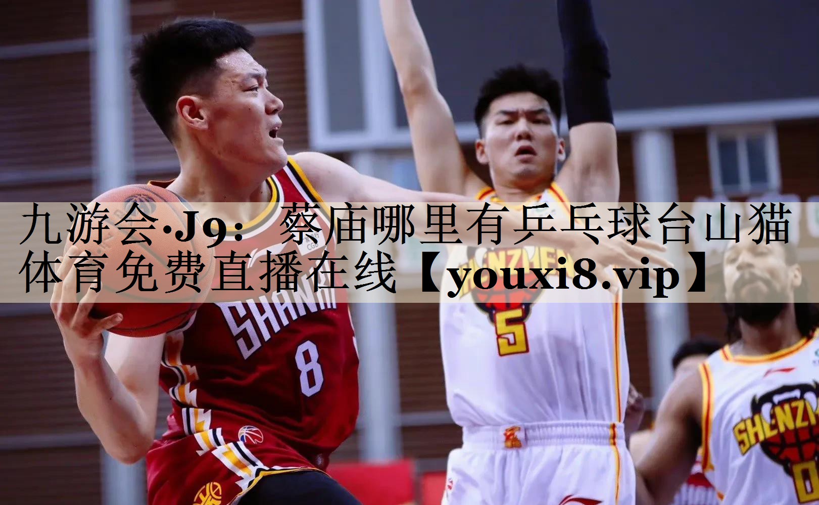 九游會(huì)·J9：蔡廟哪里有乒乓球臺(tái)山貓?bào)w育免費(fèi)直播在線