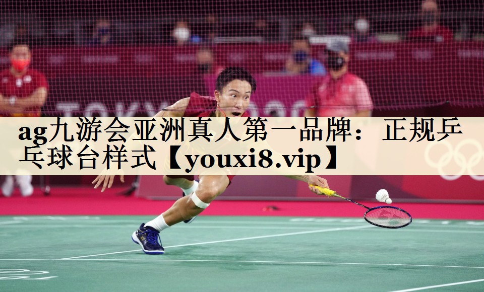 正規(guī)乒乓球臺(tái)樣式